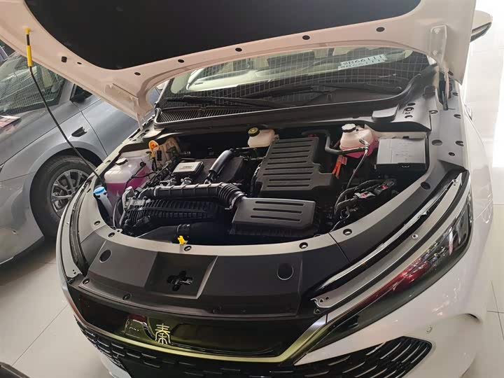 Фото 10 - BYD Qin L