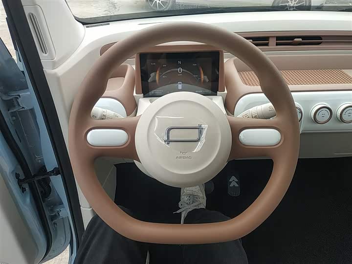 Фото 11 - Bestune Pony