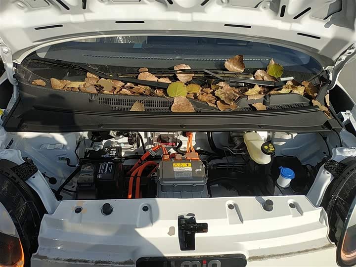 Фото 10 - Changan Qiyuan (Nevo) Lumin