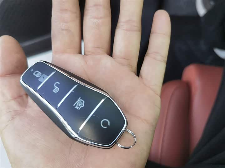 Фото 11 - BYD Tang L