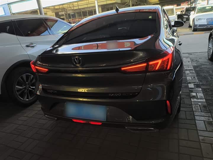 Фото 6 - Changan Eado Plus