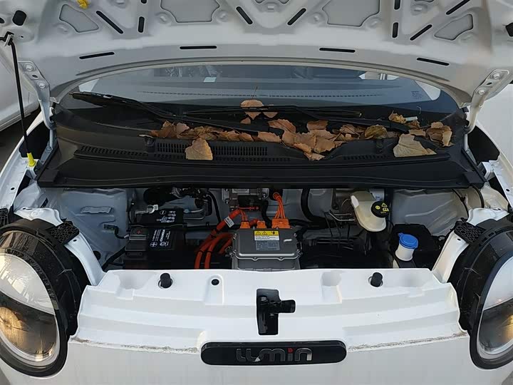 Фото 10 - Changan Qiyuan (Nevo) Lumin