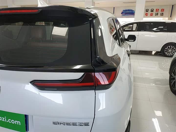 Фото 8 - Honda Breeze