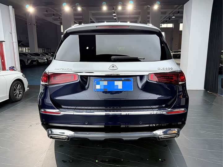 Фото 5 - Mercedes-Benz Maybach GLS