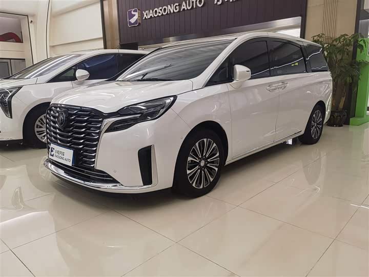 Фото 1 - Buick GL8 ES