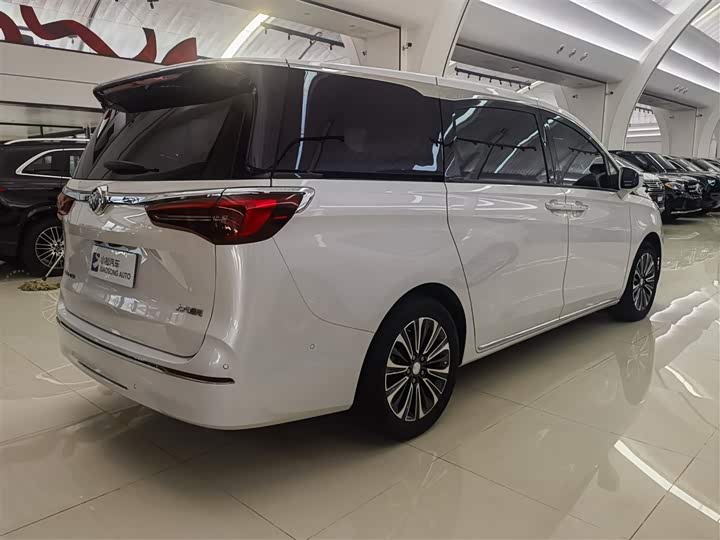 Фото 18 - Buick GL8 ES