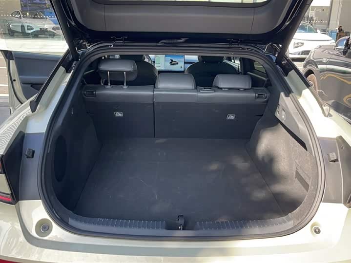 Фото 10 - XPeng F57