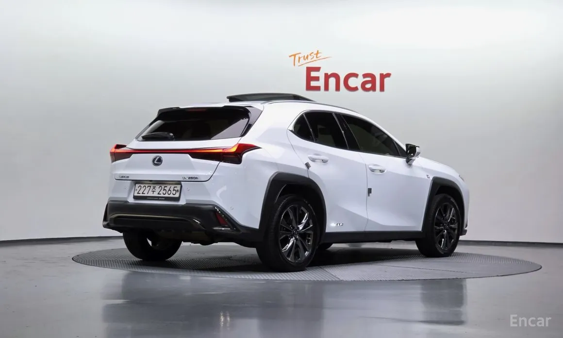 Фото 2 - Lexus UX