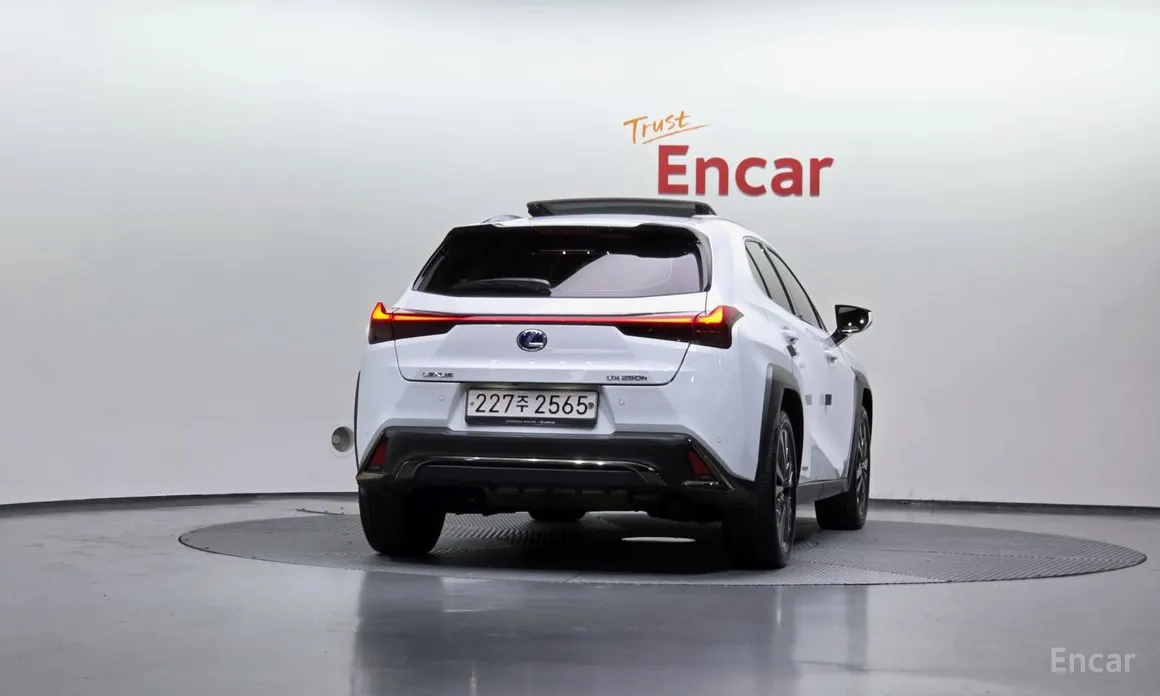 Фото 4 - Lexus UX