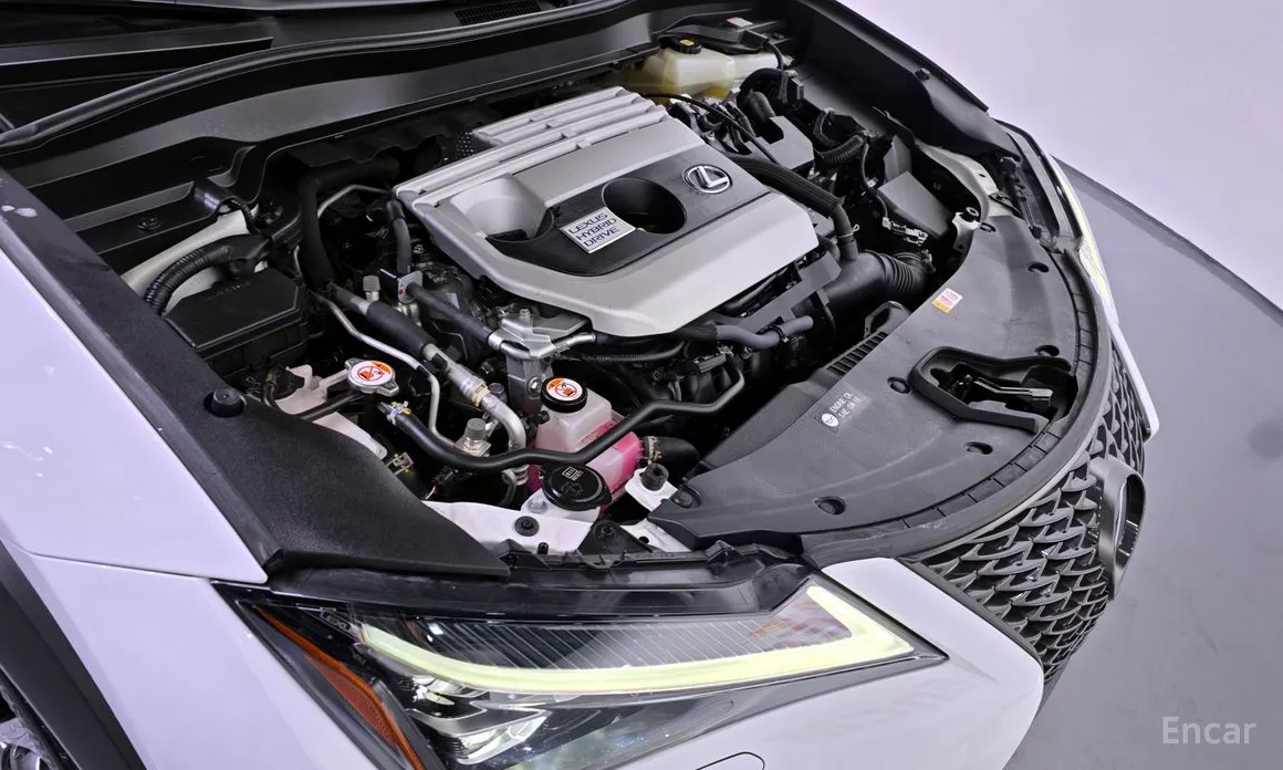 Фото 6 - Lexus UX