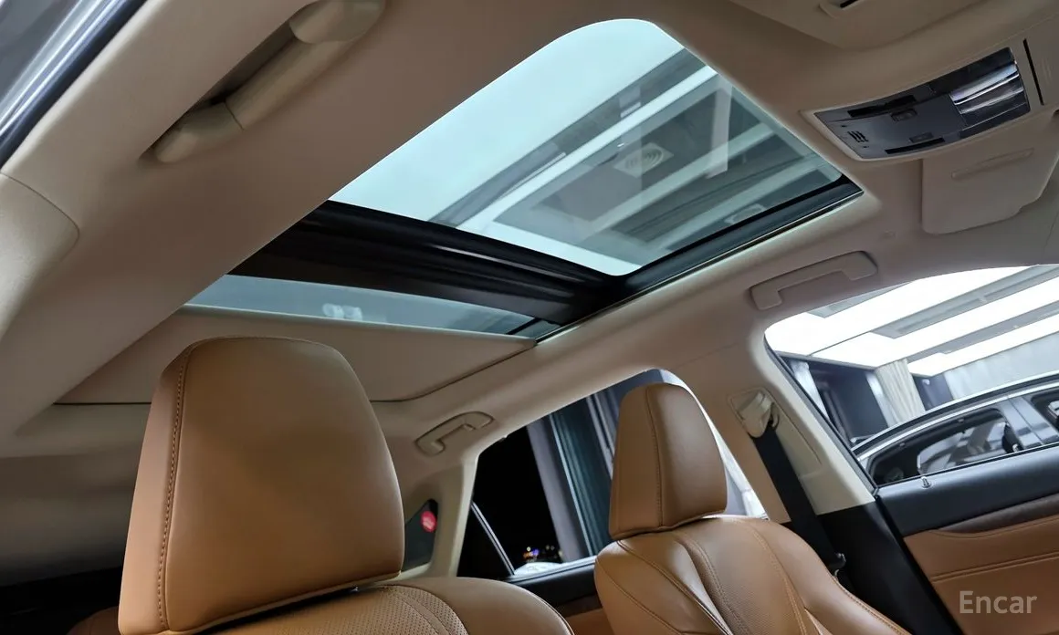 Фото 17 - Lexus RX