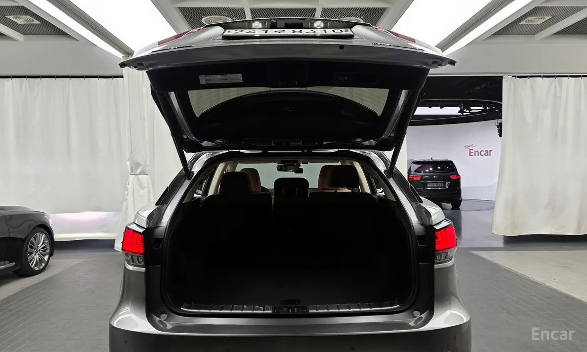 Фото 20 - Lexus RX