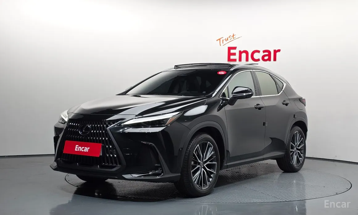 Фото 1 - Lexus NX