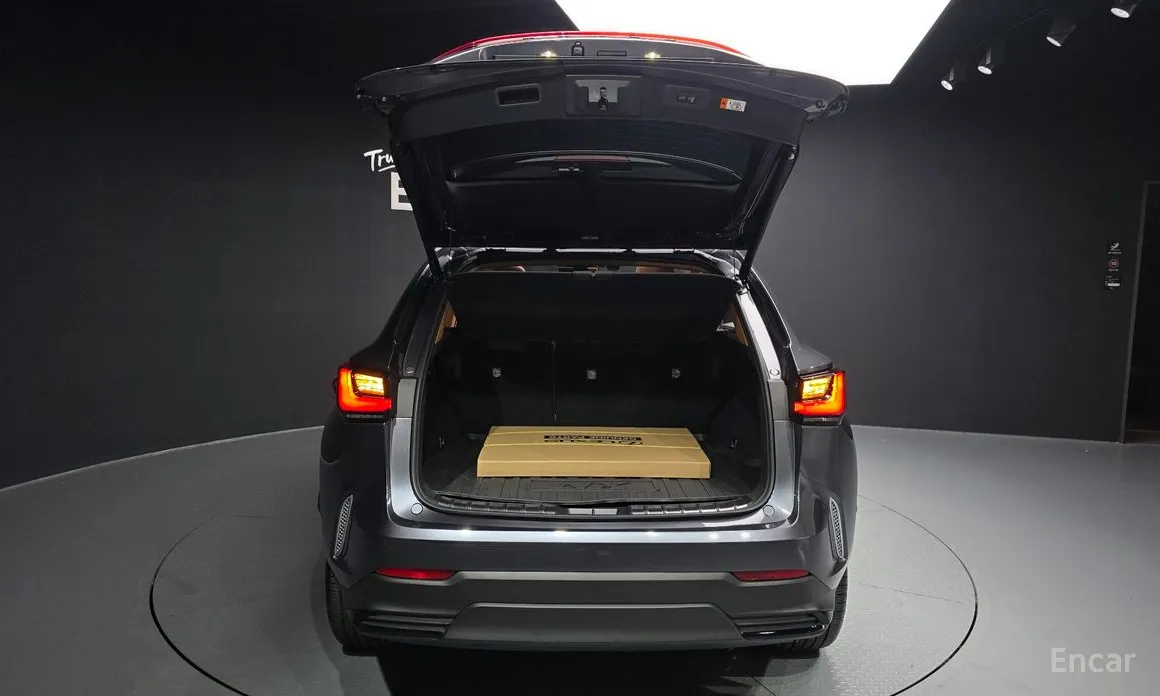 Фото 20 - Lexus NX