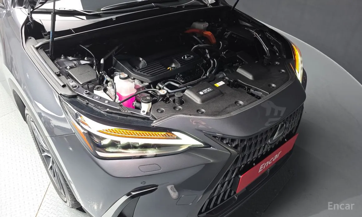 Фото 6 - Lexus NX