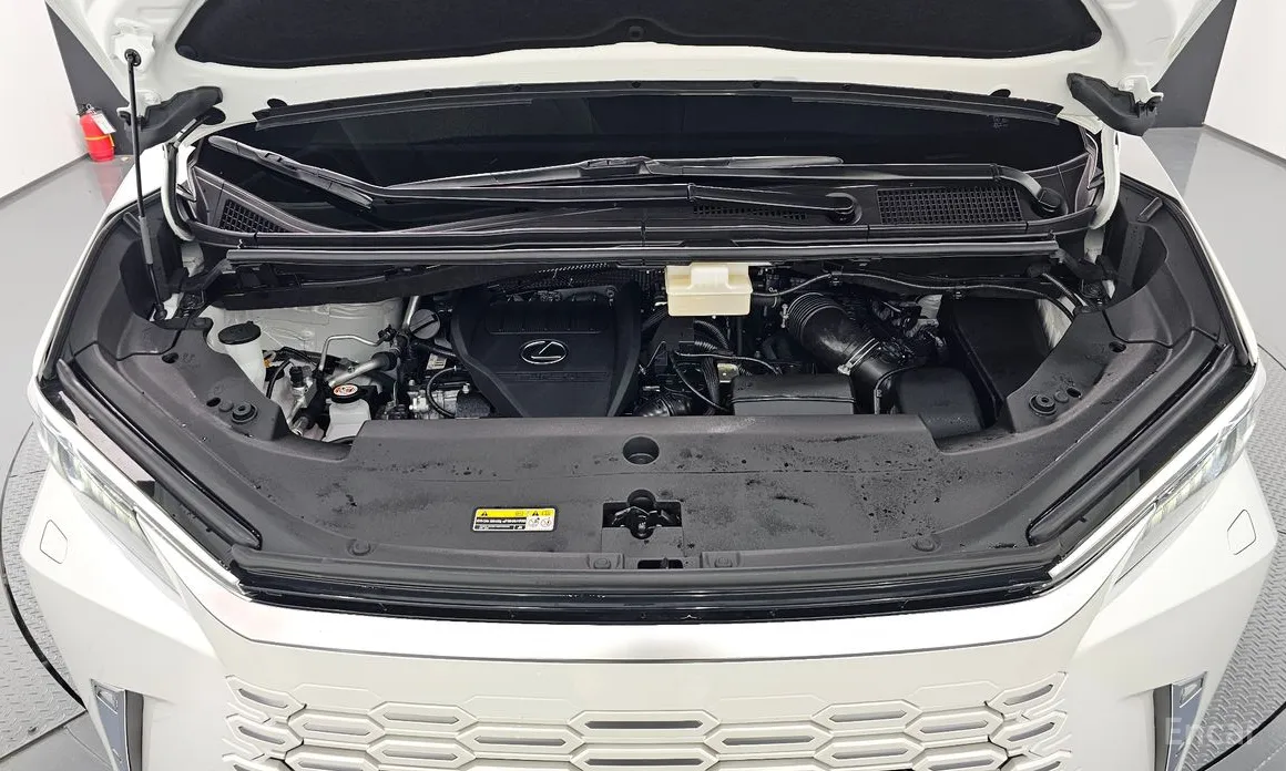 Фото 6 - Lexus LM