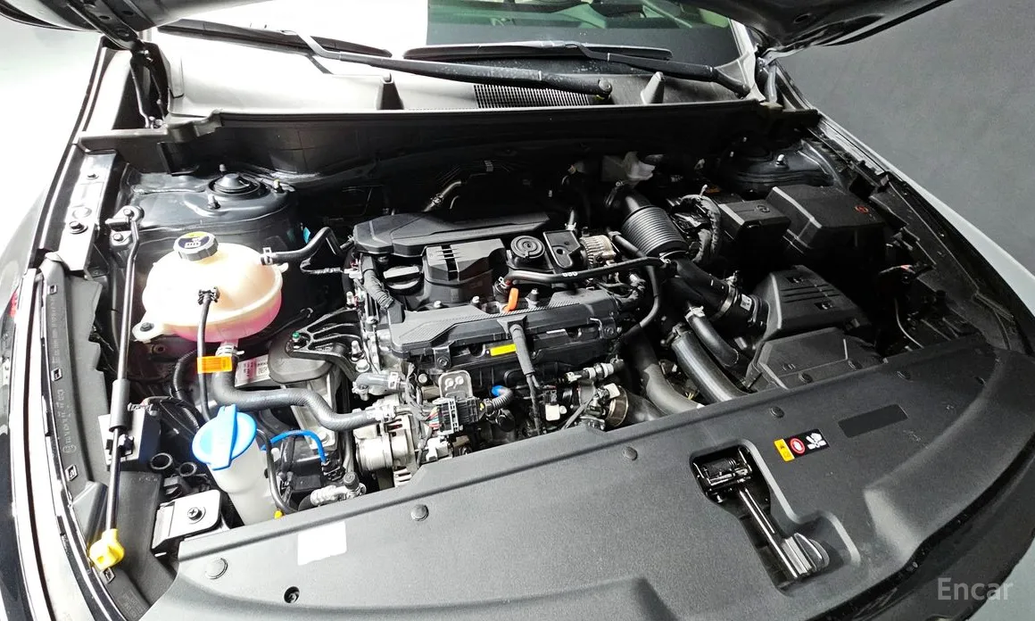 Фото 6 - Kia Sportage