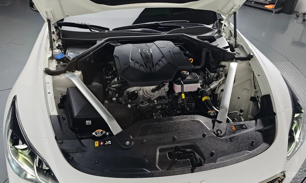 Фото 6 - Kia Stinger