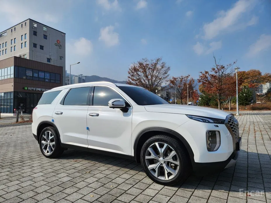 Фото 6 - Hyundai Palisade