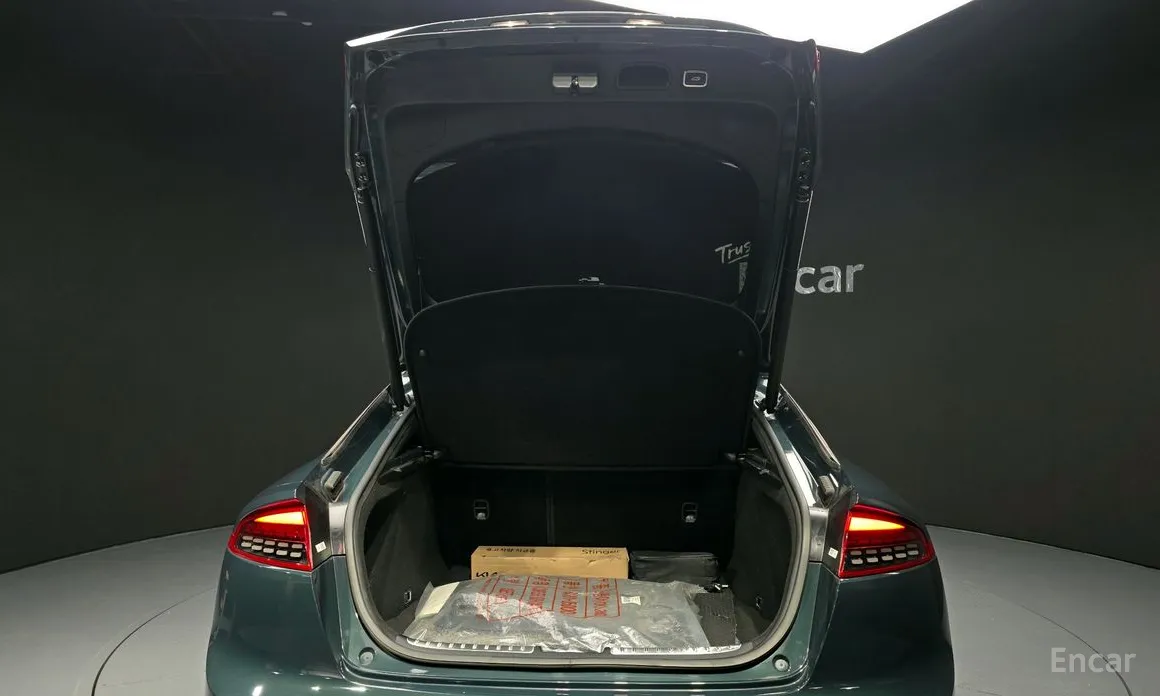 Фото 20 - Kia Stinger