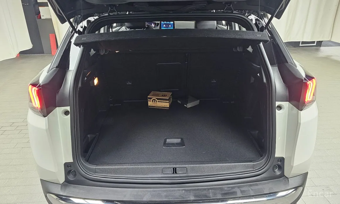 Фото 20 - Peugeot 3008