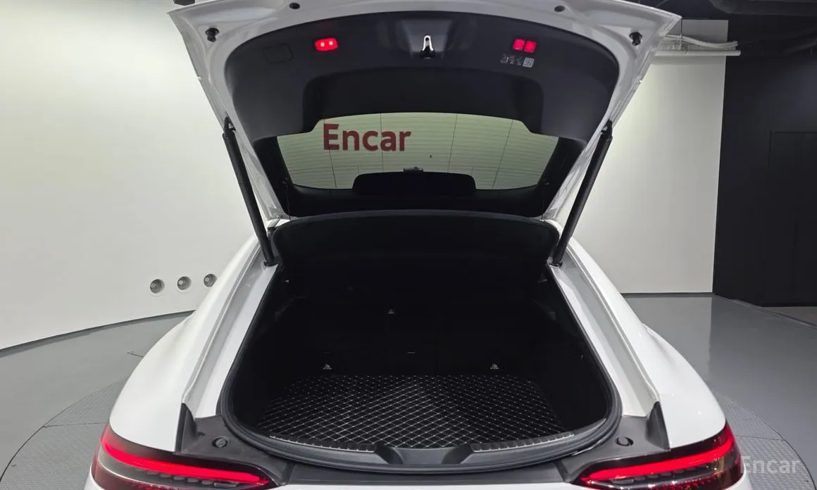 Фото 20 - Mercedes-Benz AMG GT