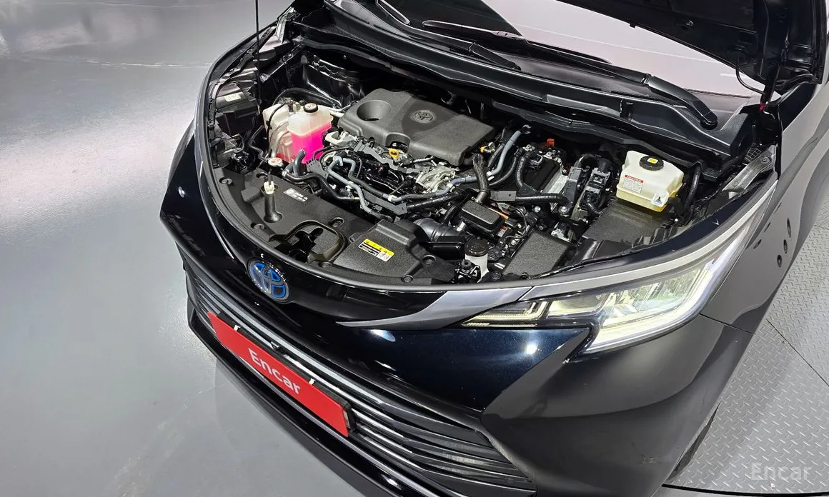 Фото 6 - Toyota Sienna