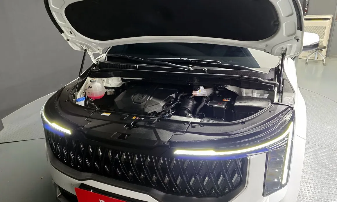 Фото 6 - Kia Carnival