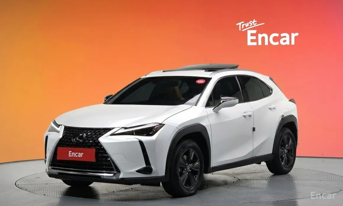 Фото 1 - Lexus UX