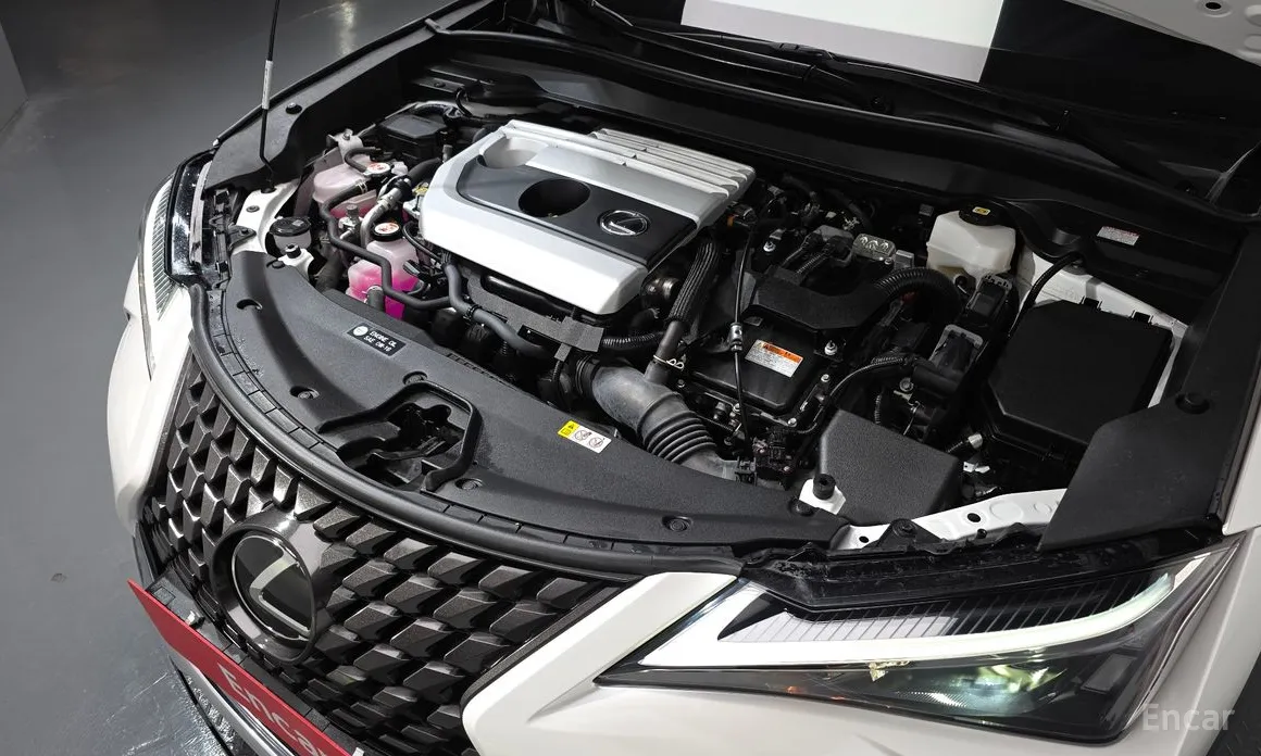 Фото 6 - Lexus UX