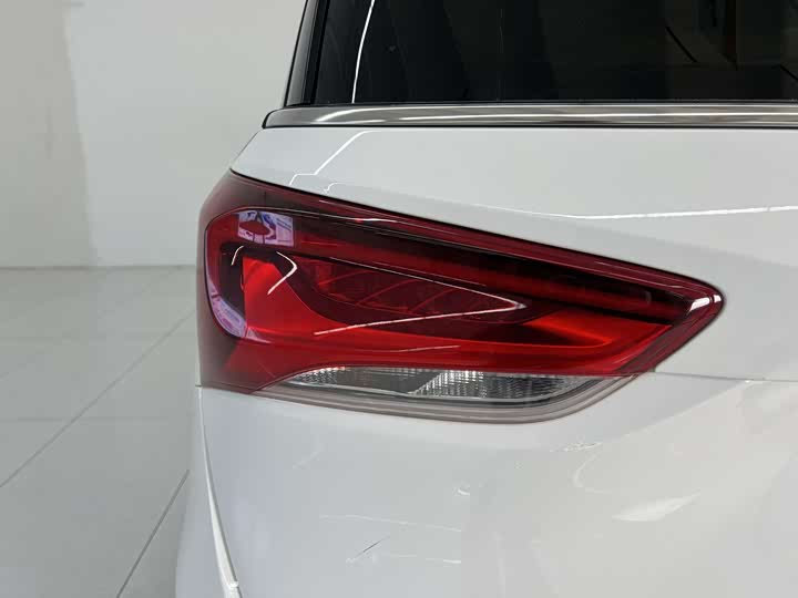 Фото 20 - Buick GL6