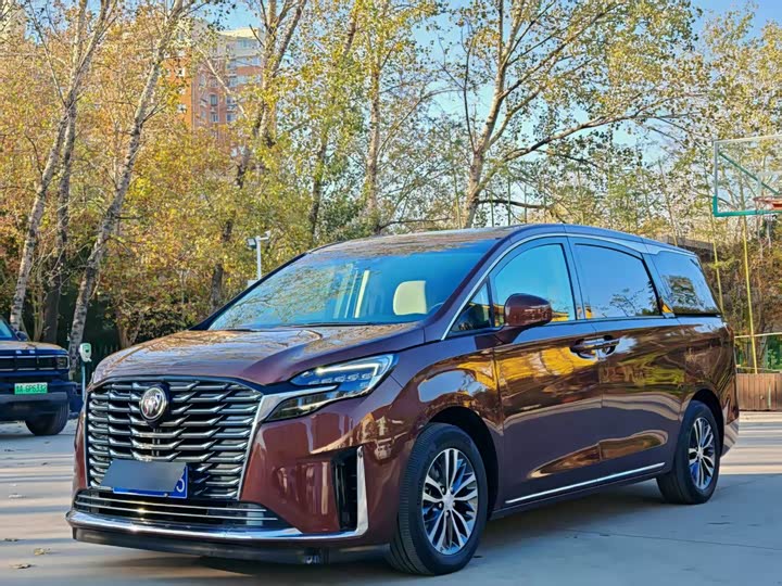 Фото 1 - Buick GL8 ES