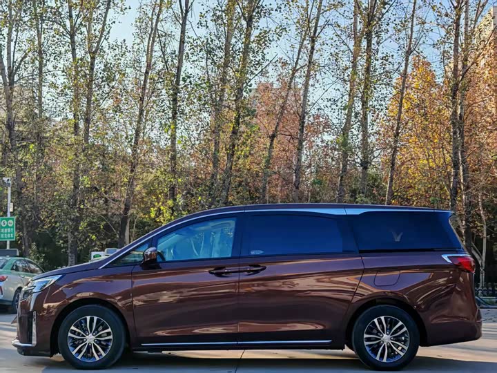 Фото 15 - Buick GL8 ES