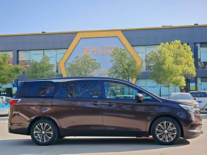 Фото 4 - Buick GL8 ES