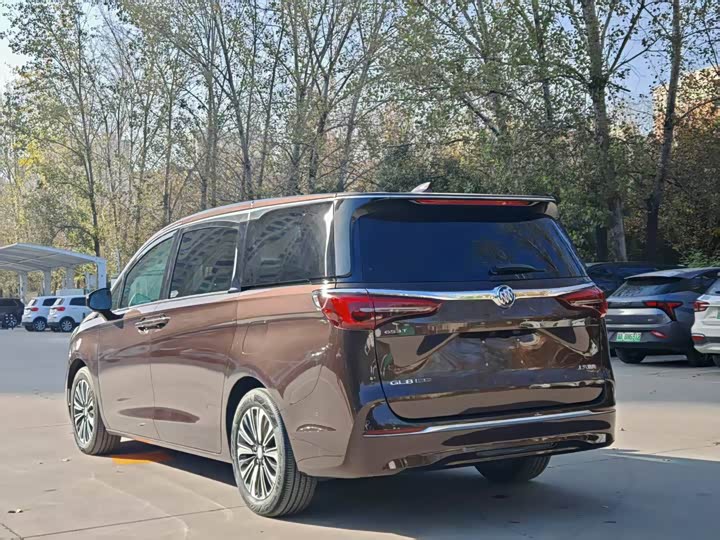 Фото 7 - Buick GL8 ES