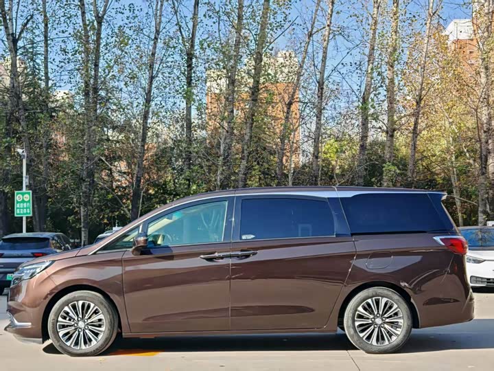 Фото 8 - Buick GL8 ES