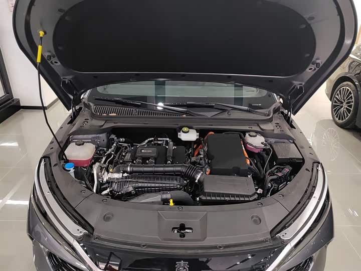 Фото 10 - BYD Qin L