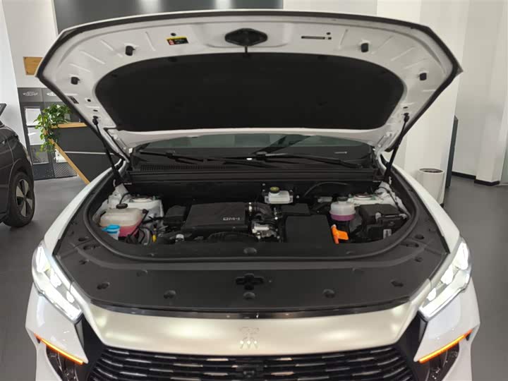 Фото 20 - BYD Song Pro Hybrid