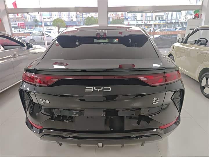 Фото 6 - BYD Song L