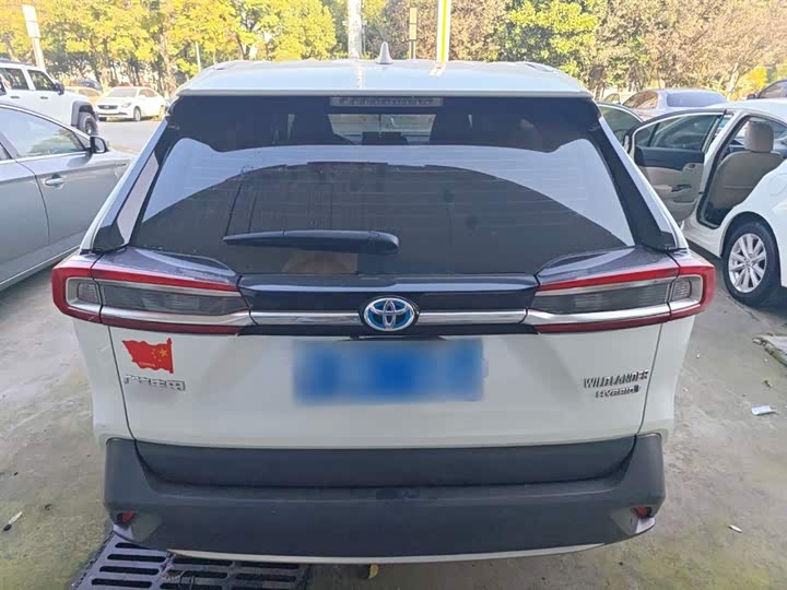 Фото 6 - Toyota Wildlander