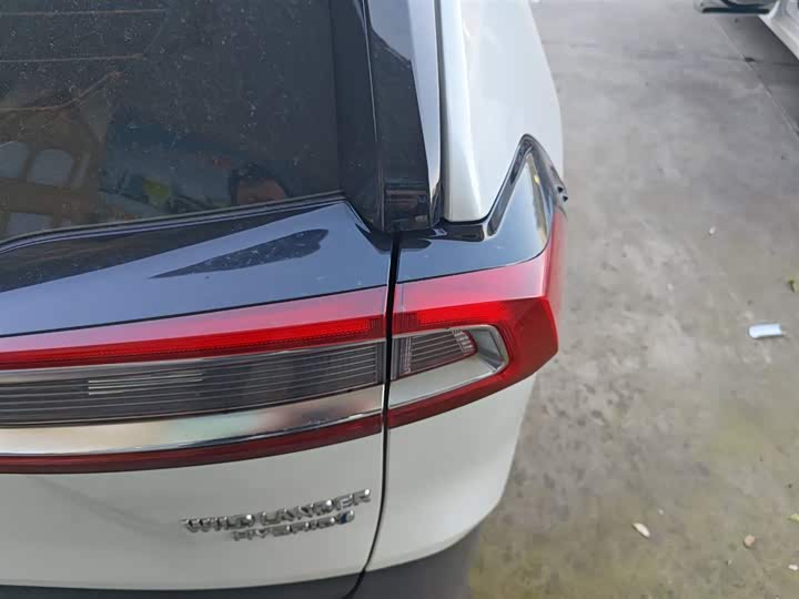 Фото 8 - Toyota Wildlander