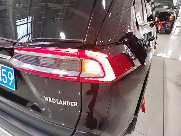 Фото 8 - Toyota Wildlander