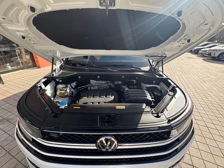 Фото 21 - Volkswagen Tavendor