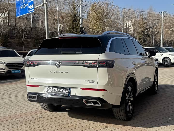 Фото 6 - Volkswagen Tavendor
