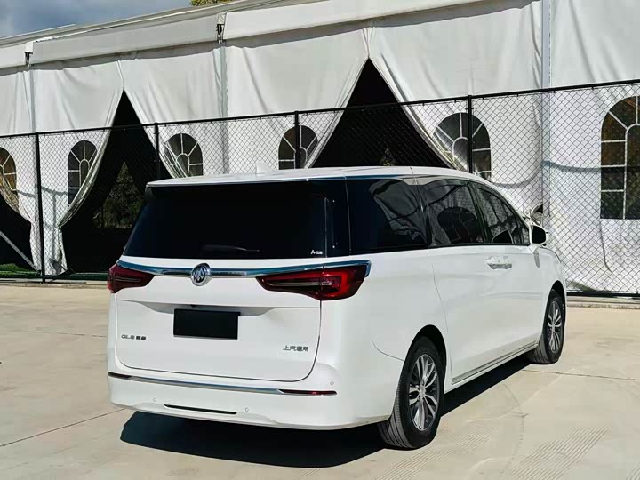 Фото 7 - Buick GL8 ES