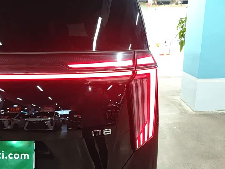 Фото 8 - GAC Trumpchi M8