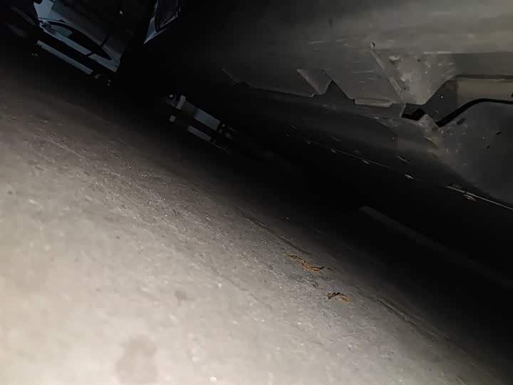 Фото 16 - BYD Qin Plus