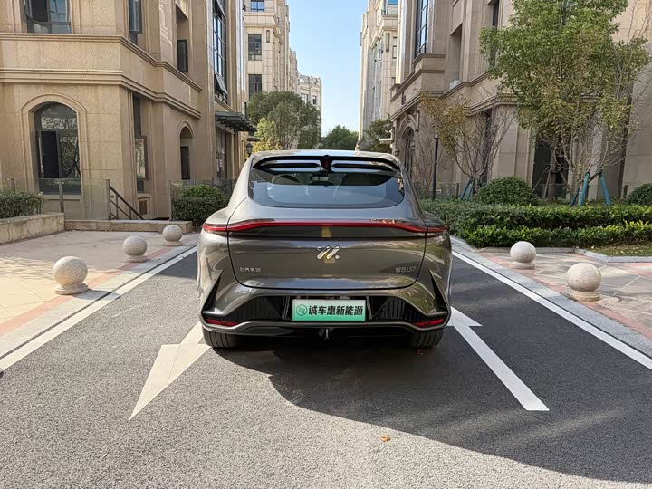 Фото 20 - IM motors LS7