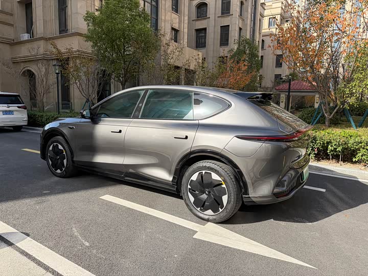 Фото 21 - IM motors LS7