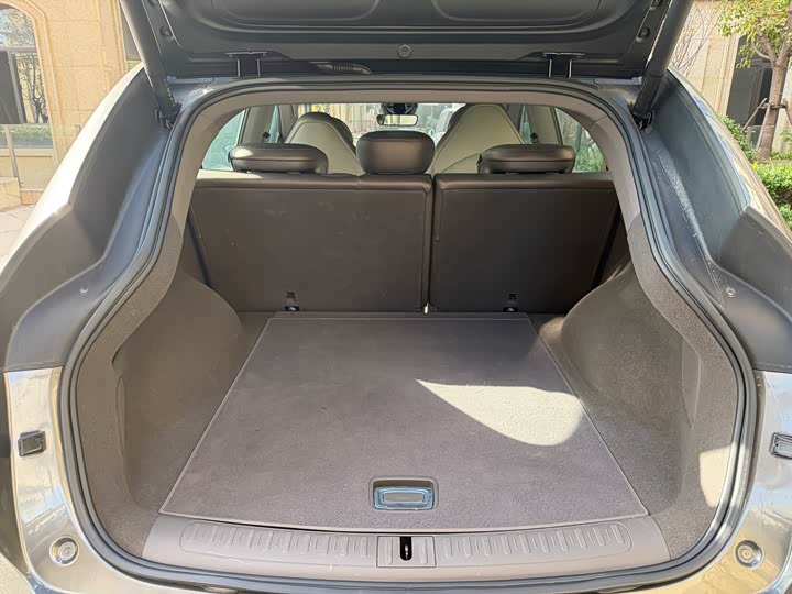 Фото 24 - IM motors LS7